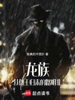 小说《/data/image/17539.jpg》封面