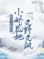 小说《/data/image/17676.jpg》封面
