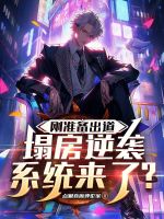 小说《/data/image/18585.jpg》封面