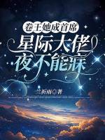 小说《/data/image/19152.jpg》封面
