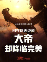 小说《/data/image/19542.jpg》封面
