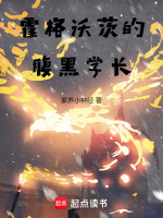 小说《/data/image/19985.jpg》封面
