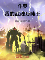 小说《/data/image/20104.jpg》封面