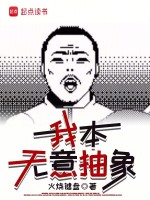 小说《/data/image/20268.jpg》封面