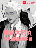 小说《/data/image/2044.jpg》封面