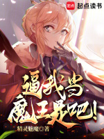 小说《/data/image/2085.jpg》封面