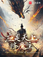 小说《/data/image/211.jpg》封面