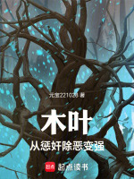 小说《/data/image/21481.jpg》封面