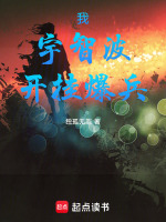 小说《/data/image/21647.jpg》封面