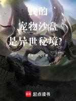 小说《/data/image/2228.jpg》封面