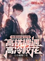 小说《/data/image/2810.jpg》封面