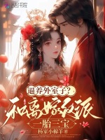 小说《/data/image/3419.jpg》封面