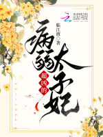小说《/data/image/3500.jpg》封面