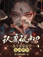 小说《/data/image/3958.jpg》封面