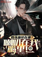 小说《/data/image/4393.jpg》封面