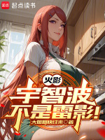 小说《/data/image/5980.jpg》封面