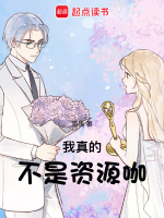 小说《/data/image/6383.jpg》封面