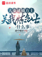 小说《/data/image/6455.jpg》封面