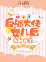 小说《/data/image/6601.jpg》封面