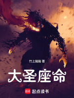 小说《/data/image/8529.jpg》封面