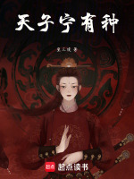 小说《/data/image/8677.jpg》封面