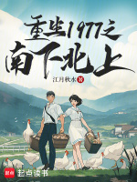 小说《/data/image/9417.jpg》封面