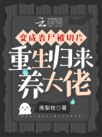 小说《/data/image/9535.jpg》封面